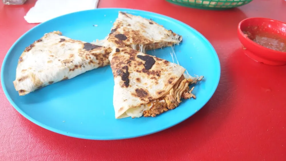 Chicken Quesadilla